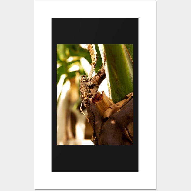 Gecko Wall Art by Graz-Photos